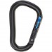 Black Diamond Rocklock Magnetron Carabiner